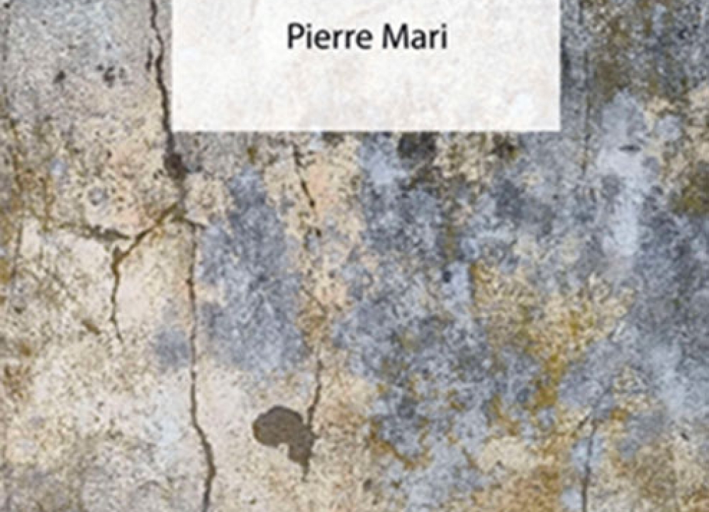Guerroyant, le nouveau livre de Pierre Mari