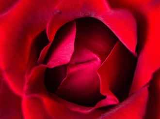 Textes sur les odeurs