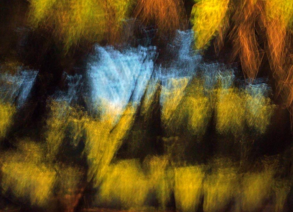 Couleurs nuit