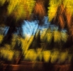 Couleurs nuit