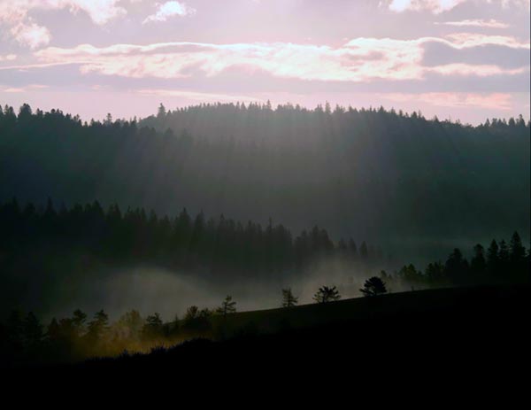 Incipit de  mon roman Sève d'automne