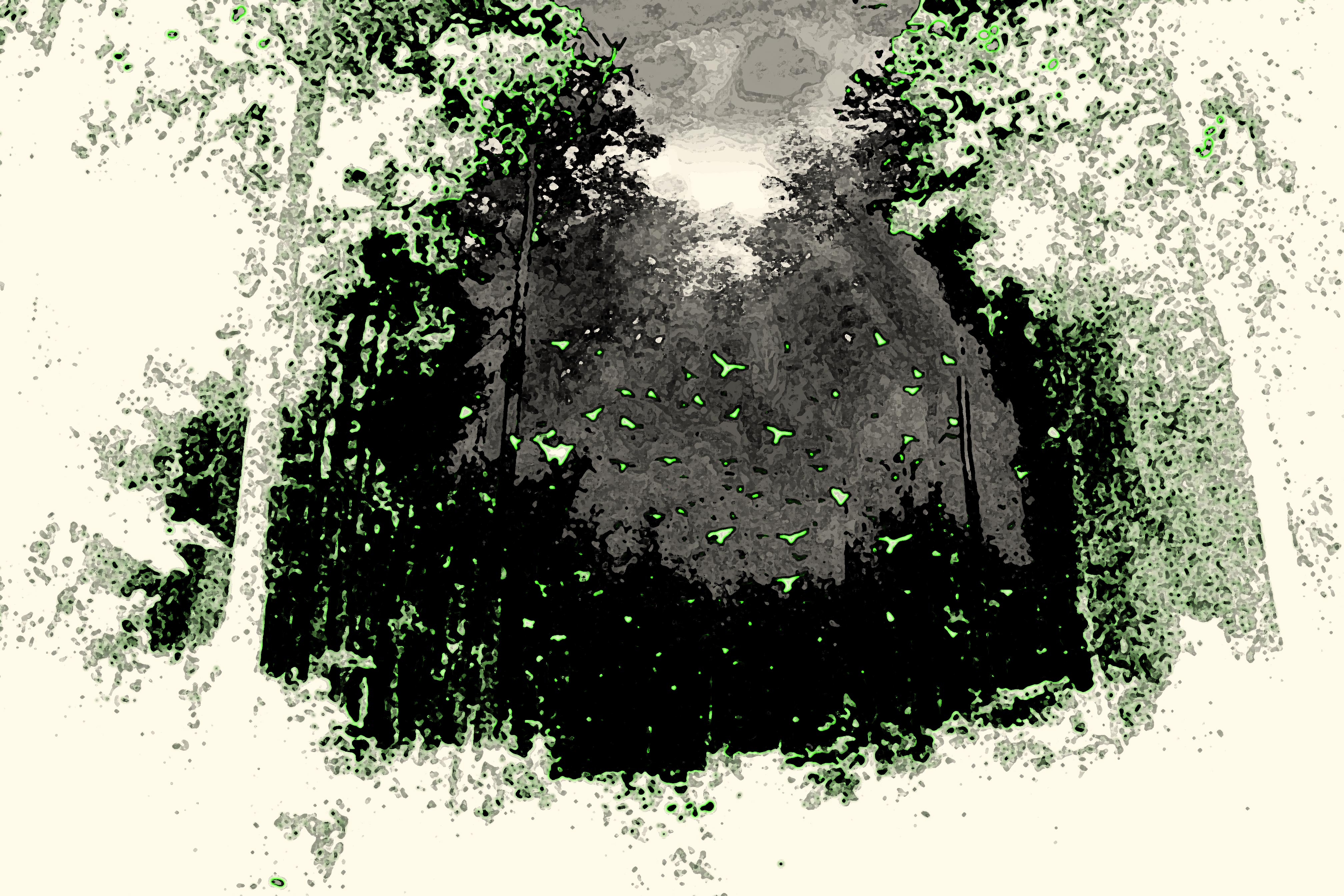 Forêt sonore