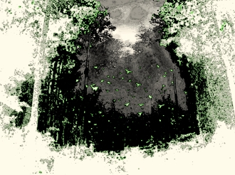 Forêt sonore