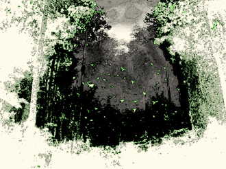 Forêt sonore
