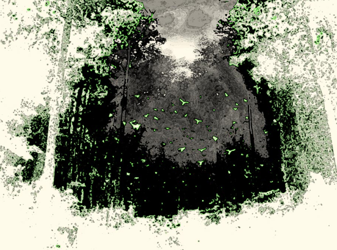 Forêt sonore