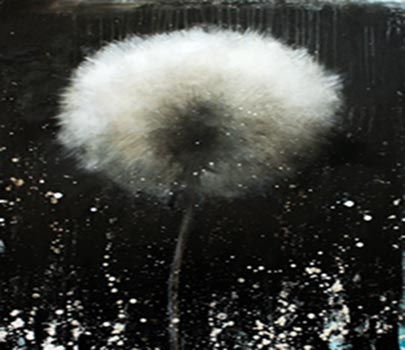 Ecrire l'éphémère