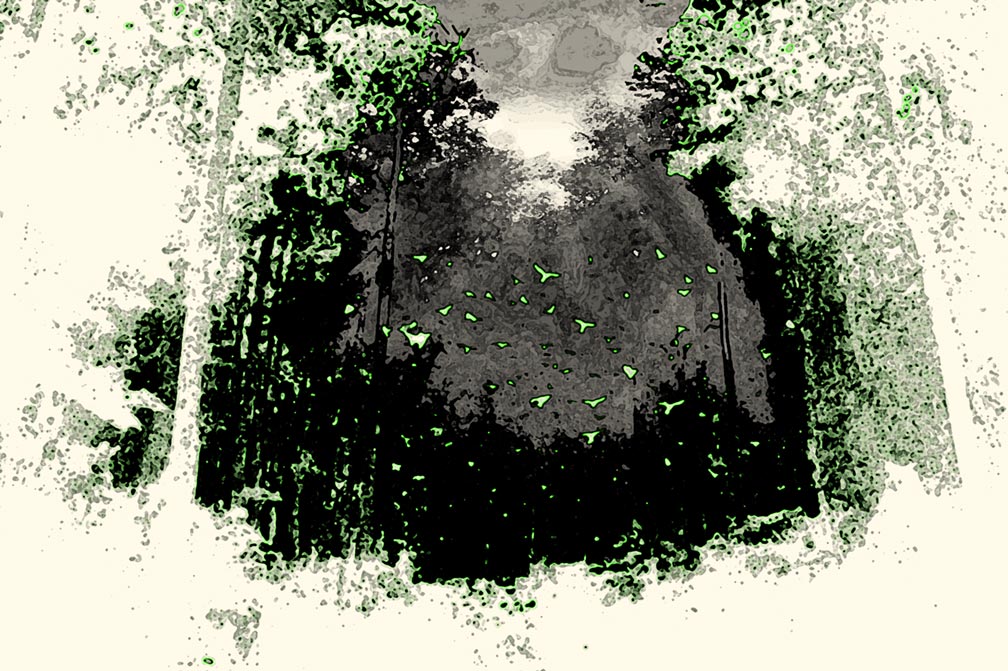 RSS Image